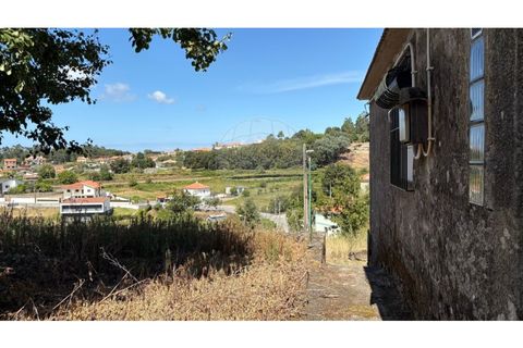 Villa i Viana do Castelo, Viana do Castelo, Viana do Castelo - € 60.000 | Ref: 126201003-211 - foto 7