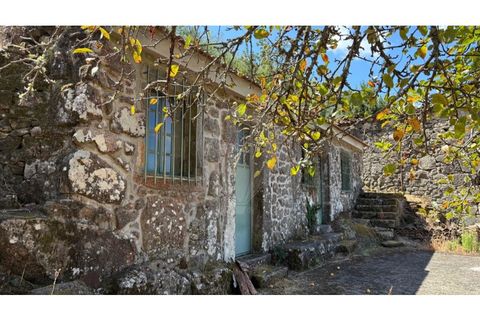 Villa i Viana do Castelo, Viana do Castelo, Viana do Castelo - € 60.000 | Ref: 126201003-211 - foto 10