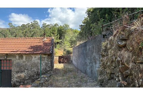 Villa i Viana do Castelo, Viana do Castelo, Viana do Castelo - € 60.000 | Ref: 126201003-211 - foto 12