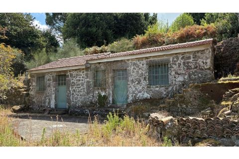 Villa i Viana do Castelo, Viana do Castelo, Viana do Castelo - € 60.000 | Ref: 126201003-211 - foto 13