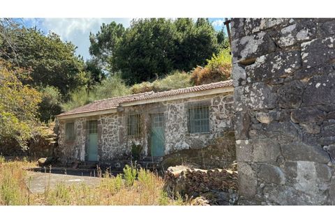 Villa i Viana do Castelo, Viana do Castelo, Viana do Castelo - € 60.000 | Ref: 126201003-211 - foto 18