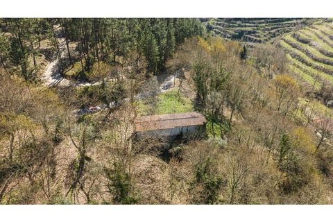 Villa i Celorico de Basto, Braga, Celorico de Basto - € 94.000 | Ref: 126221008-335 - foto 3