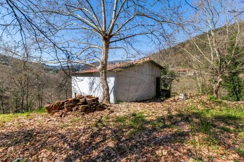 Villa i Celorico de Basto, Braga, Celorico de Basto - € 94.000 | Ref: 126221008-335 - foto 4
