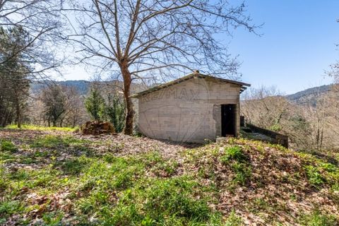 Villa i Celorico de Basto, Braga, Celorico de Basto - € 94.000 | Ref: 126221008-335 - foto 5