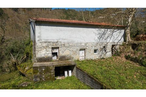 Villa i Celorico de Basto, Braga, Celorico de Basto - € 94.000 | Ref: 126221008-335 - foto 7