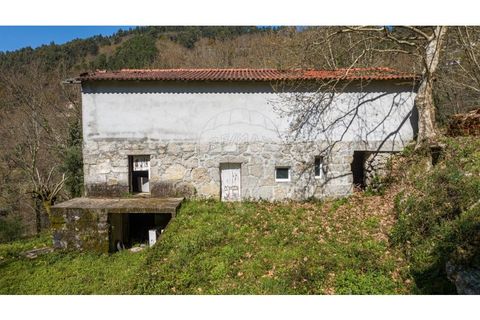Villa i Celorico de Basto, Braga, Celorico de Basto - € 94.000 | Ref: 126221008-335 - foto 8