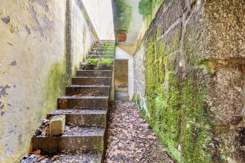 Villa i Celorico de Basto, Braga, Celorico de Basto - € 94.000 | Ref: 126221008-335 - foto 10