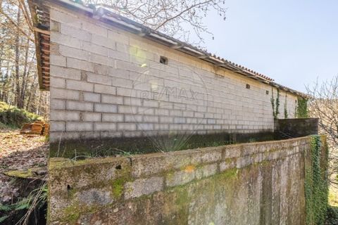 Villa i Celorico de Basto, Braga, Celorico de Basto - € 94.000 | Ref: 126221008-335 - foto 14