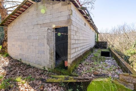 Villa i Celorico de Basto, Braga, Celorico de Basto - € 94.000 | Ref: 126221008-335 - foto 15