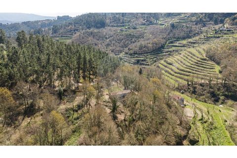 Villa i Celorico de Basto, Braga, Celorico de Basto - € 94.000 | Ref: 126221008-335 - foto 16