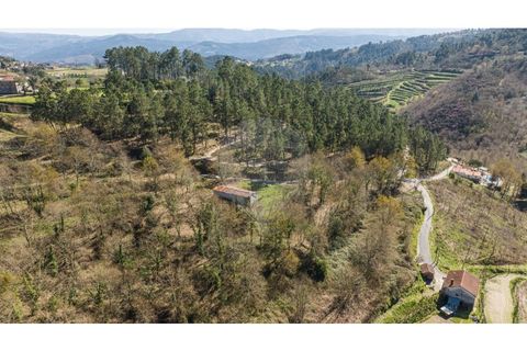 Villa i Celorico de Basto, Braga, Celorico de Basto - € 94.000 | Ref: 126221008-335 - foto 17