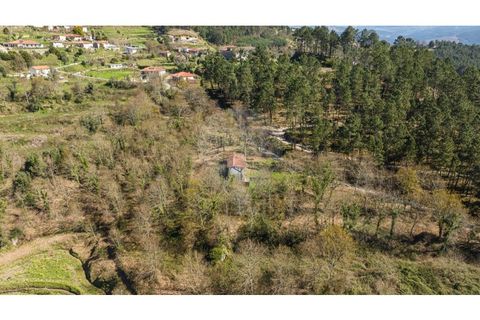 Villa i Celorico de Basto, Braga, Celorico de Basto - € 94.000 | Ref: 126221008-335 - foto 18