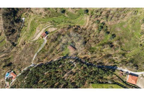 Villa i Celorico de Basto, Braga, Celorico de Basto - € 94.000 | Ref: 126221008-335 - foto 19