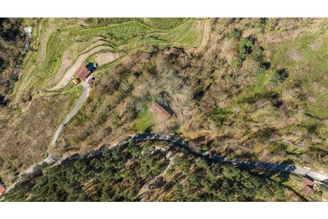 Villa i Celorico de Basto, Braga, Celorico de Basto - € 94.000 | Ref: 126221008-335 - foto 20