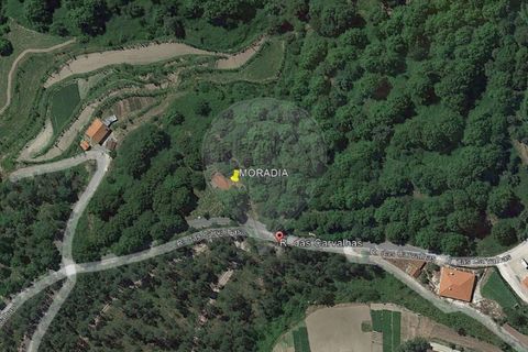 Villa i Celorico de Basto, Braga, Celorico de Basto - € 94.000 | Ref: 126221008-335 - foto 21