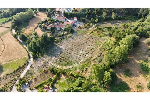 Villa a Alvite e Passos, Braga, Alvite e Passos - € 360.000 | Ref: 126311008-85 - foto 32