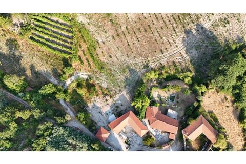 Villa a Alvite e Passos, Braga, Alvite e Passos - € 360.000 | Ref: 126311008-85 - foto 33