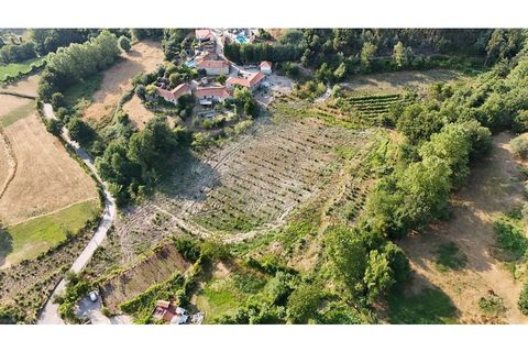 Villa a Alvite e Passos, Braga, Alvite e Passos - € 360.000 | Ref: 126311008-85 - foto 34