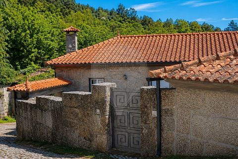 Farm i Alvite e Passos, Braga, Alvite e Passos - € 320.000 | Ref: 126311008-87 - foto 5