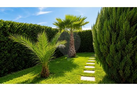 Farm i Alvite e Passos, Braga, Alvite e Passos - € 320.000 | Ref: 126311008-87 - foto 9
