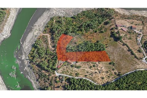 Terra a Pinho, Vila Real, Pinho - € 130.000 | Ref: 126381014-63 - foto 2