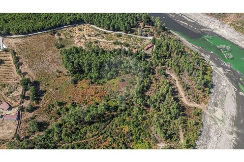 Terra a Pinho, Vila Real, Pinho - € 130.000 | Ref: 126381014-63 - foto 5