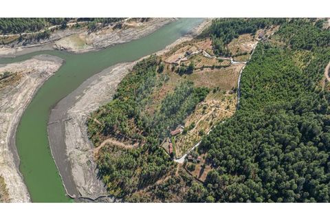 Terra a Pinho, Vila Real, Pinho - € 130.000 | Ref: 126381014-63 - foto 6