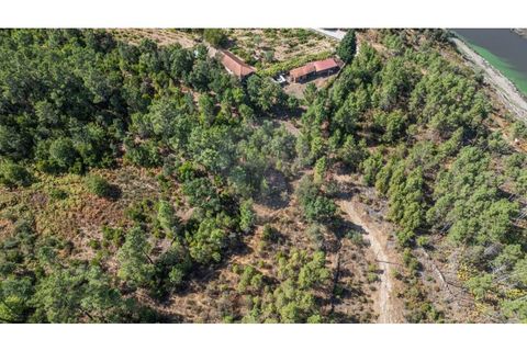 Terra a Pinho, Vila Real, Pinho - € 130.000 | Ref: 126381014-63 - foto 10