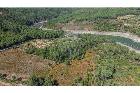 Terra a Pinho, Vila Real, Pinho - € 130.000 | Ref: 126381014-63 - foto 12