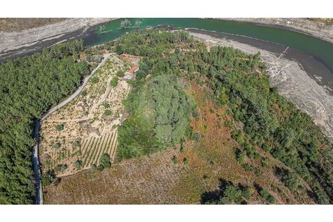 Terra a Pinho, Vila Real, Pinho - € 130.000 | Ref: 126381014-63 - foto 13