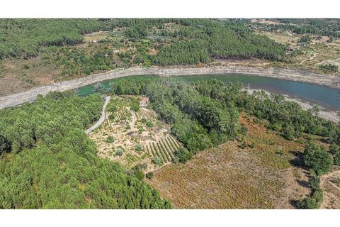 Terra a Pinho, Vila Real, Pinho - € 130.000 | Ref: 126381014-63 - foto 14