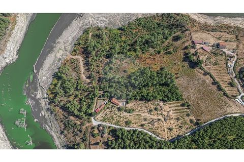 Terra a Pinho, Vila Real, Pinho - € 130.000 | Ref: 126381014-63 - foto 15