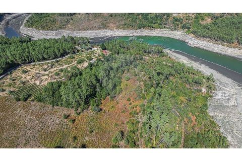 Terra a Pinho, Vila Real, Pinho - € 130.000 | Ref: 126381014-63 - foto 16