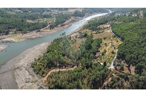 Terra a Pinho, Vila Real, Pinho - € 130.000 | Ref: 126381014-63 - foto 17