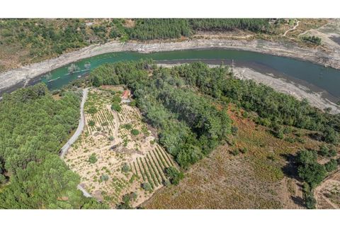 Terra a Pinho, Vila Real, Pinho - € 130.000 | Ref: 126381014-63 - foto 18