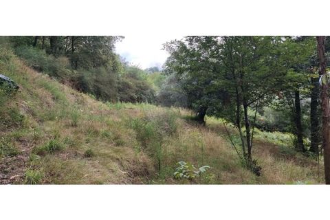 Helårsgrund i Serdedelo, Viana do Castelo, Serdedelo - € 7.500 | Ref: 126971023-9 - foto 4