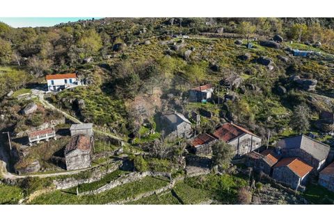Villa i Ciboes e Brufe, Braga, Ciboes e Brufe - € 79.000 | Ref: 126971023-10 - foto 14
