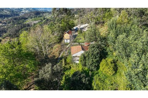 Villa i Ciboes e Brufe, Braga, Ciboes e Brufe - € 84.900 | Ref: 126971023-12 - foto 3
