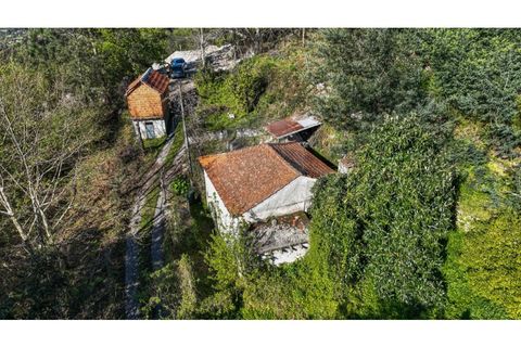 Villa i Ciboes e Brufe, Braga, Ciboes e Brufe - € 84.900 | Ref: 126971023-12 - foto 4