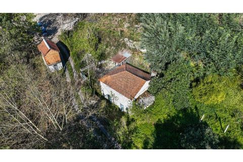Villa i Ciboes e Brufe, Braga, Ciboes e Brufe - € 84.900 | Ref: 126971023-12 - foto 5