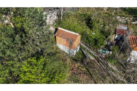 Villa i Ciboes e Brufe, Braga, Ciboes e Brufe - € 84.900 | Ref: 126971023-12 - foto 6