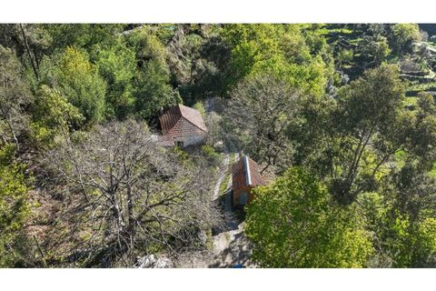 Villa i Ciboes e Brufe, Braga, Ciboes e Brufe - € 84.900 | Ref: 126971023-12 - foto 7