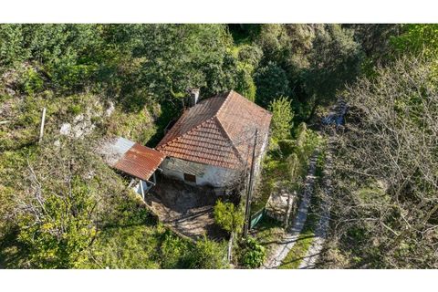 Villa i Ciboes e Brufe, Braga, Ciboes e Brufe - € 84.900 | Ref: 126971023-12 - foto 9