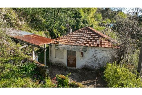 Villa i Ciboes e Brufe, Braga, Ciboes e Brufe - € 84.900 | Ref: 126971023-12 - foto 10