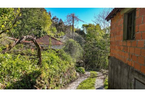 Villa i Ciboes e Brufe, Braga, Ciboes e Brufe - € 84.900 | Ref: 126971023-12 - foto 15
