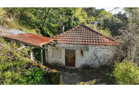 Villa i Ciboes e Brufe, Braga, Ciboes e Brufe - € 84.900 | Ref: 126971023-12 - foto 17