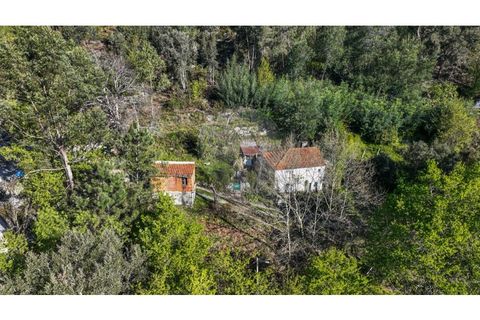 Villa i Ciboes e Brufe, Braga, Ciboes e Brufe - € 84.900 | Ref: 126971023-12 - foto 20