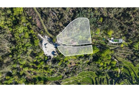 Villa i Ciboes e Brufe, Braga, Ciboes e Brufe - € 84.900 | Ref: 126971023-12 - foto 23