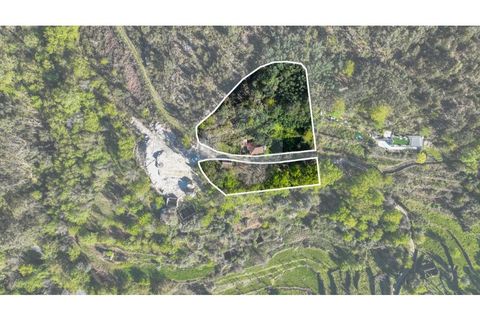 Villa i Ciboes e Brufe, Braga, Ciboes e Brufe - € 84.900 | Ref: 126971023-12 - foto 24