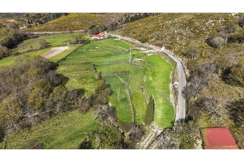 Helårsgrund i Chorense e Monte, Braga, Chorense e Monte - € 12.500 | Ref: 126971023-3 - foto 2
